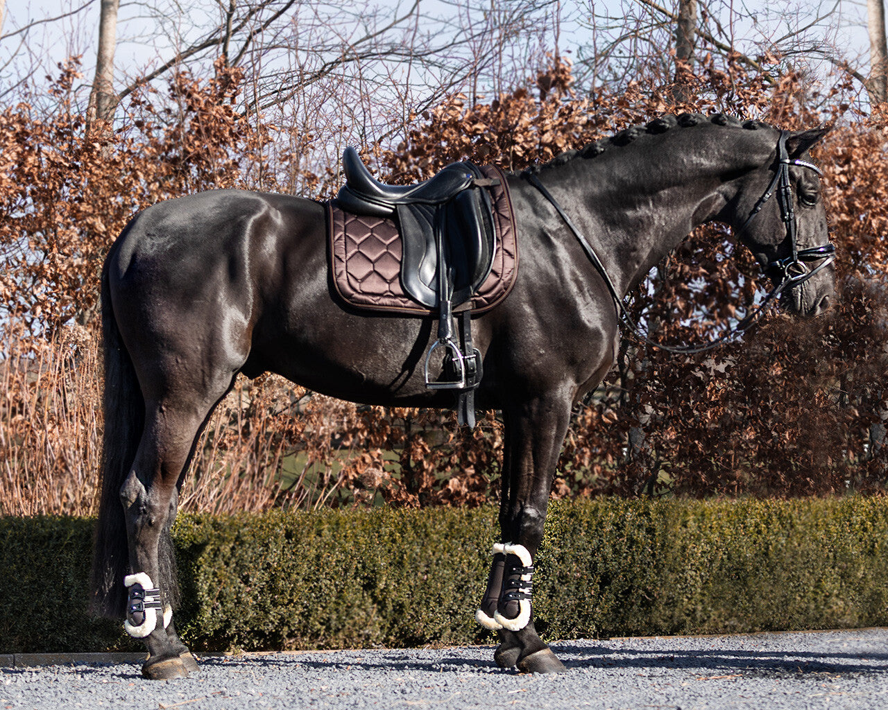 Czaprak wszechstronny QHP Classy